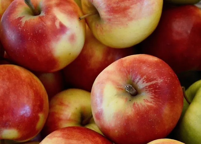 Der Valk Purmerend Hotel 3*